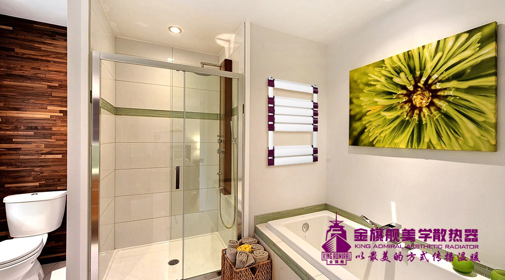 卫生间安装暖气片有疑问，来了解一下