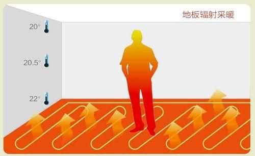 金旗舰 金旗舰